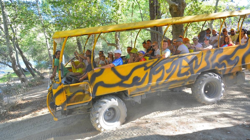 Monster Jet Bot 6in1