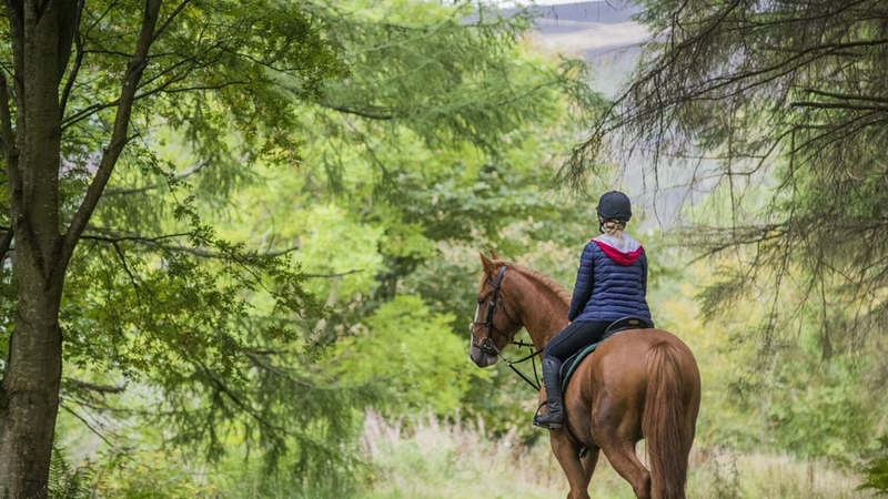 Kemer: 1 Saatlik At Binme Turu