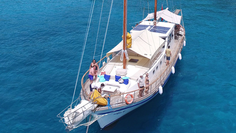 Özel Yat : Royal Five | Morning Tour