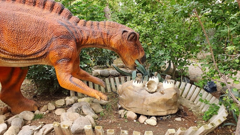 Kemer : Dinopark Giriş Bileti