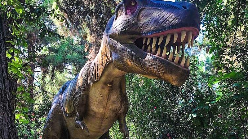 Kemer : Dinopark Giriş Bileti