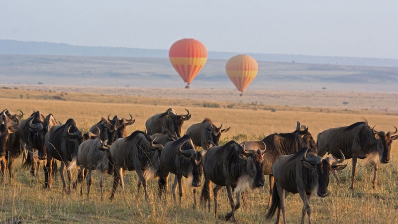 Serengeti Fly-In & Zanzibar: Göklerden Safariye ve Egzotik Sahillere (9 Gün)