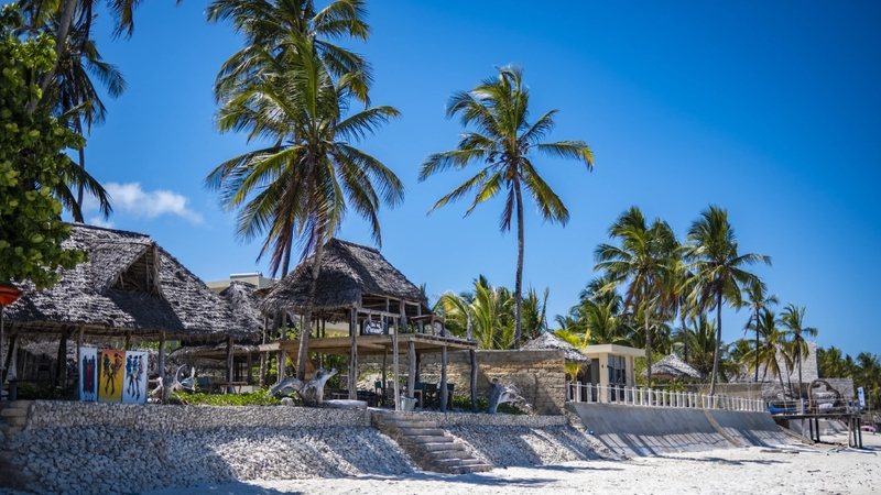 Serengeti Fly-In & Zanzibar: Göklerden Safariye ve Egzotik Sahillere (9 Gün)