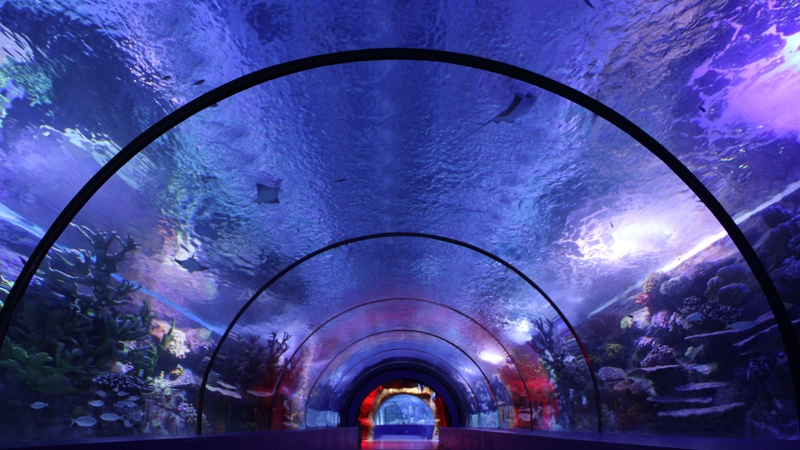 Antalya Akvaryum ve Balmumu Müzesi Giriş Bileti