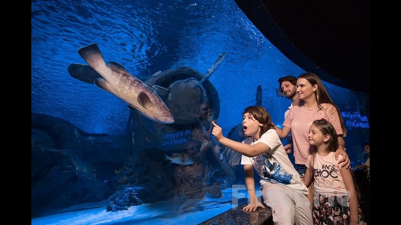 Antalya Akvaryum ve Balmumu Müzesi Giriş Bileti
