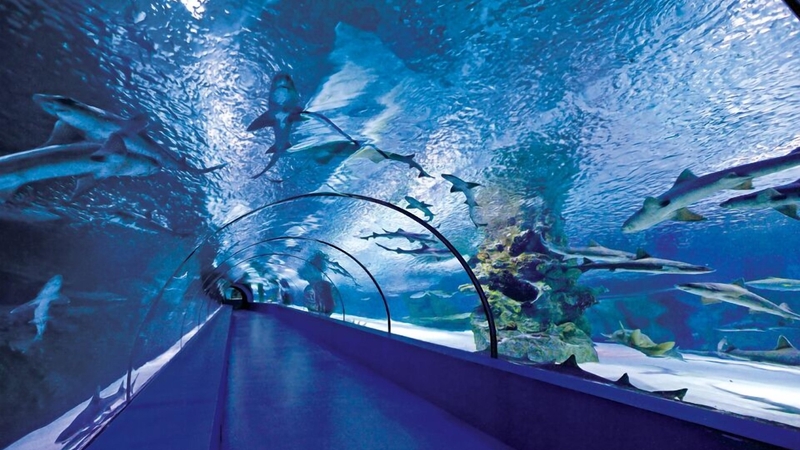 Antalya Akvaryum ve Balmumu Müzesi Giriş Bileti
