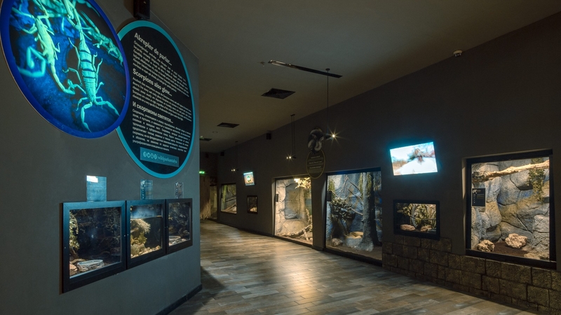 Antalya Akvaryum Full Plus Paket - Giriş Bileti