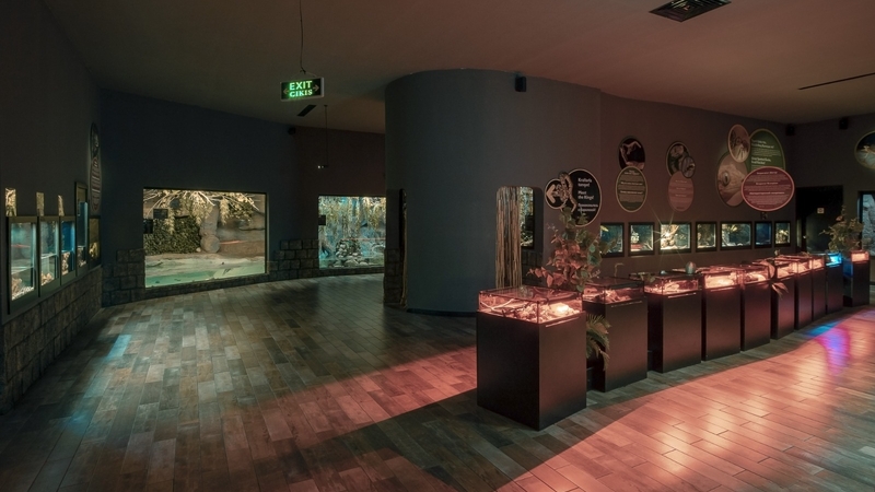 Antalya Akvaryum Full Plus Paket - Giriş Bileti