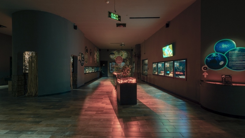 Antalya Akvaryum Full Plus Paket - Giriş Bileti