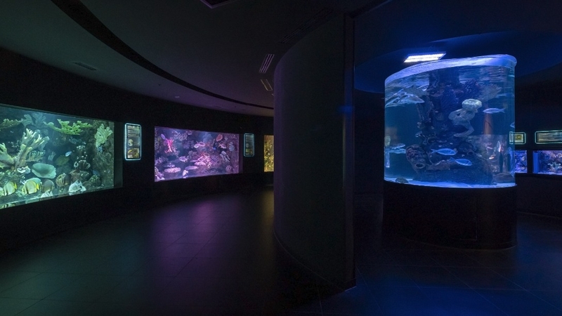 Antalya Akvaryum Full Plus Paket - Giriş Bileti